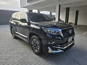Pardo Rental