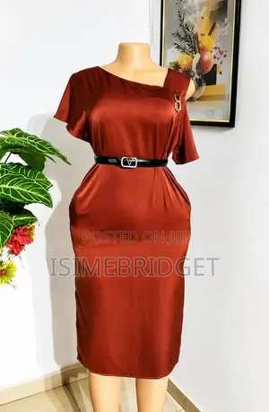 Elegant Ladies Thrift Dress