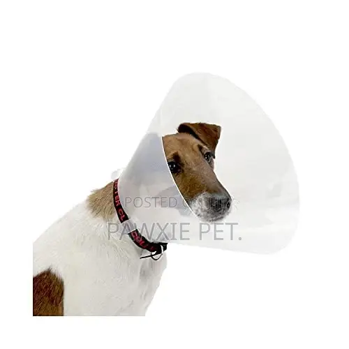 Gs E Collar Size 7- 12.5cm