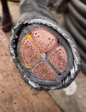95mmx4core Amored Cable