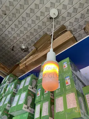Fire Flame Bulb