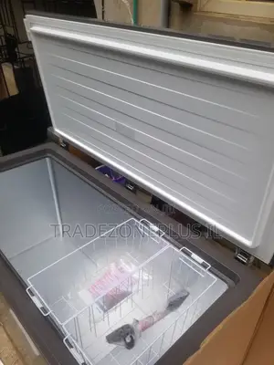 Large Capacity Frozen Food Freezer by Hisense