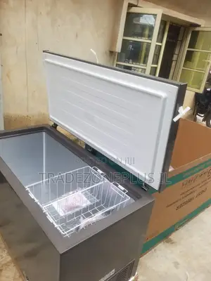 Efficient Food Storage Freezer 420L