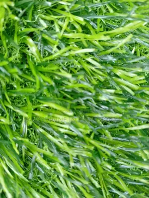 Hard Back Green Grass Carpet 25mm