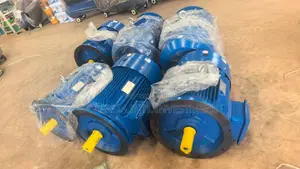 Three-Phase Asynchronous Electric Motor-Heavy Duty Industrial Motors