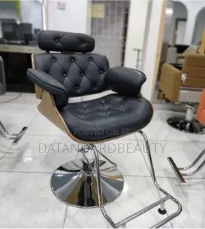 Salon Chair