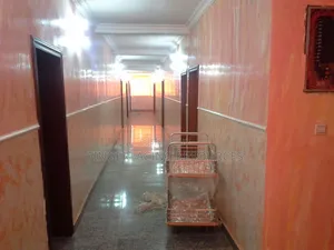 Elon House and Office Painting,and Screeding