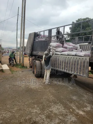 Dangote Cement Distributor Nationwide
