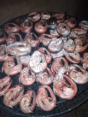 Quality River Smoke Fish for Sell. Well Washed Before Smoking.