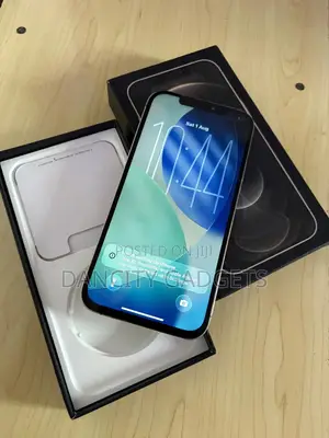 Apple iPhone 12 Pro Max 256 GB Gold