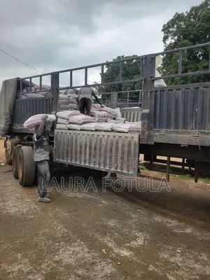 Dangote Cement Distributor Nationwide