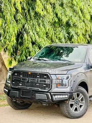 Ford F-150 2016 Gray