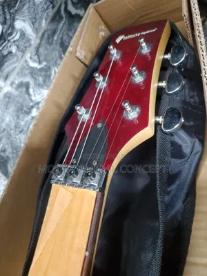 Infinity Hydrive Electric Guitar 