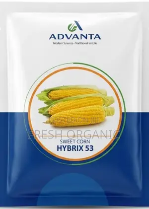Hybrid 53 Sweetcorn Seeds | (Advanta Brand)250g