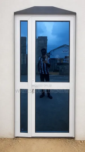 Luxury Aluminum Double Hinge Door With Reflective Glass