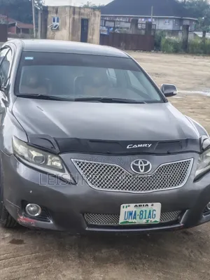 Toyota Camry 2010 Gray