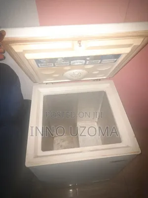 130Litres Thermocool Mini Freezer