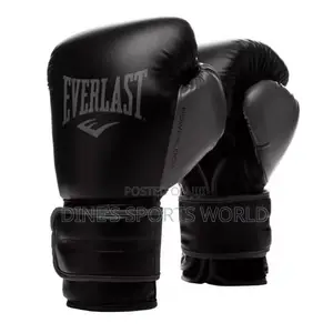 Original Everlast Boxing Gloves