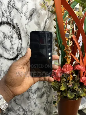 Apple iPhone 12 64 GB Black