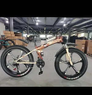 Size 26 Foldable Benz Bicycle