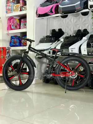 Adult Manual Bicycle