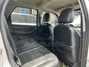 Ford Escape Limited 2006 Silver