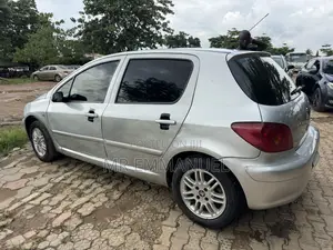 Peugeot 307 1.6 Premium 2005 Silver