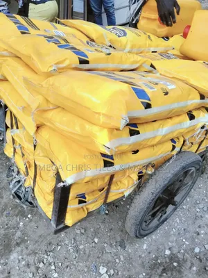 Top Shield Water Seal cement.Good for Water Logged Area