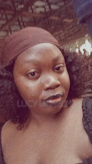 Lucy Uchechi Cv
