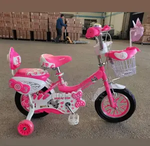 Bicycle for Young Children Age 6years and Above