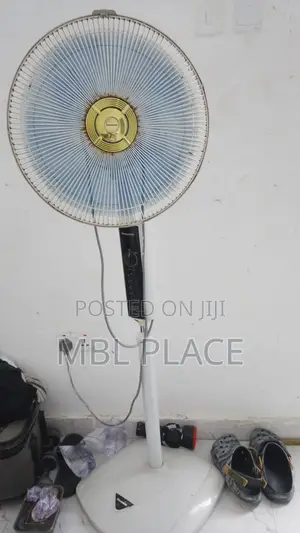 Standing Fan