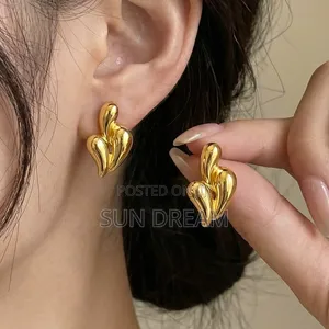 Women Earrings Birthday Gift Stainless Steel Accessories