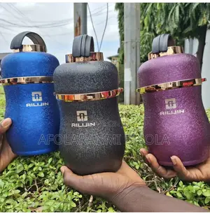 AILIJN 1L Food Flask