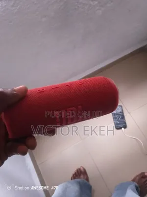 JBL Flip 6