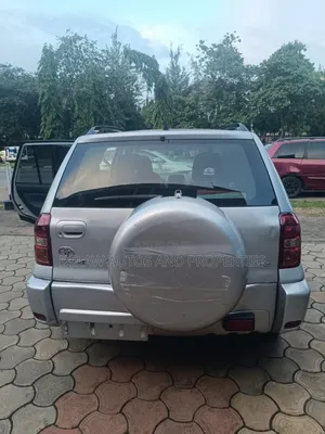 Toyota RAV4 2004 Silver