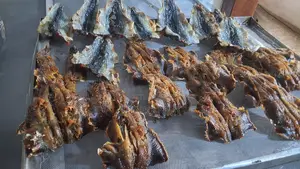 Deboned Dried Shawa Fish