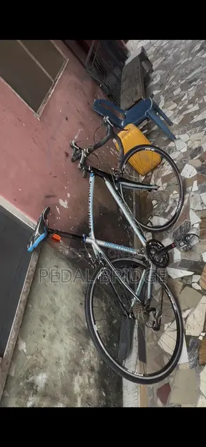 Professional Road Bike
