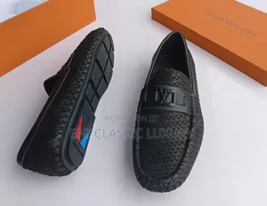 Louis Vuitton Luxury Loafer Shoes Best Quality Well Branded Package