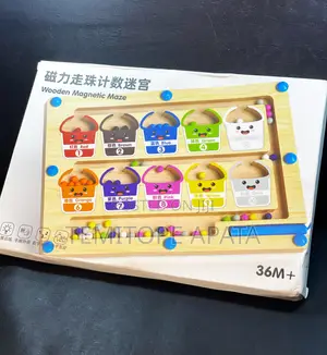 Wooden Magnetic Maze