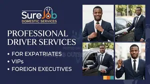 Professional Driver for Expatriates, VIPs Foreign Executives