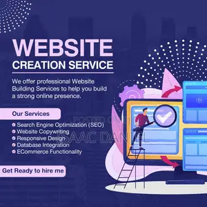 Professional Website Designer
