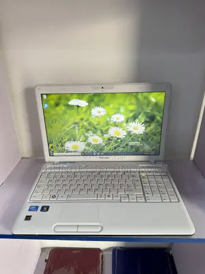 Laptop Toshiba Satellite C670 4GB Intel HDD 250GB