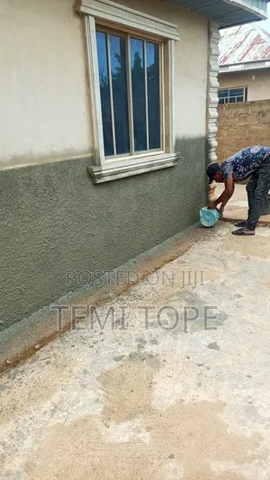 House Painting and Taolin Job