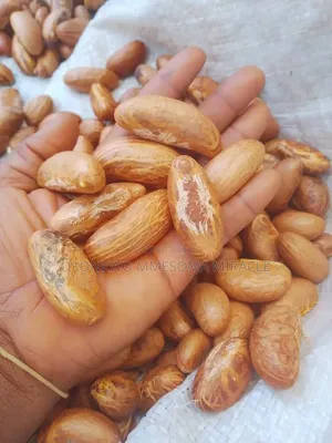 Agro Product ( Premium Nigeria Bitter Kola)