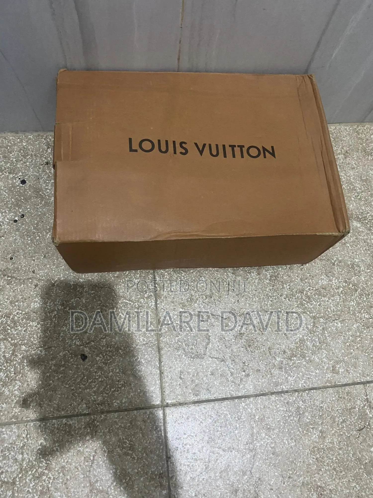 Louis Vuitton Snickers