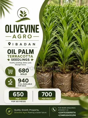 Oil Palm Terracotta Seedlings