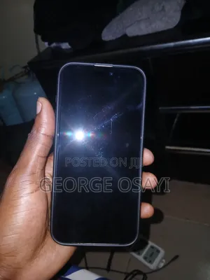 Apple iPhone 15 Pro Max 256 GB Gray