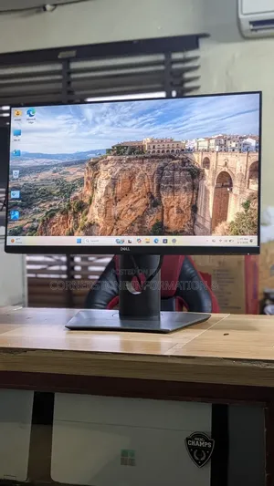 DELL P2719HC Monitor (2022)