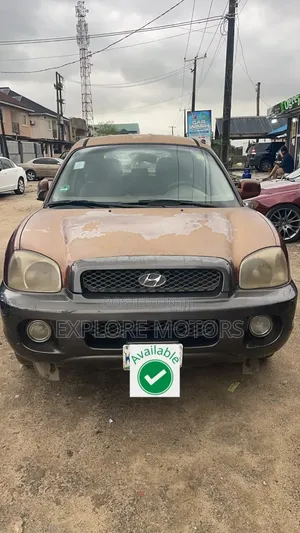 Hyundai Santa Fe 2005 Brown