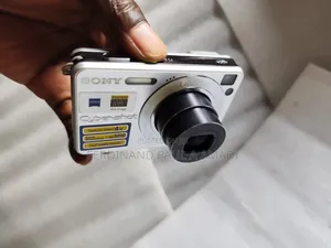 Sony Digital Photo Video Camera for Vintage Passport Snapping